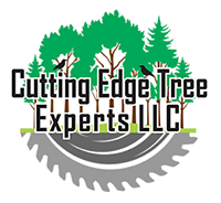 Cutting edge logo